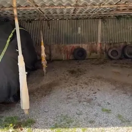 Apartmán Casa Simy - Ad Un Passo Dal Mare *